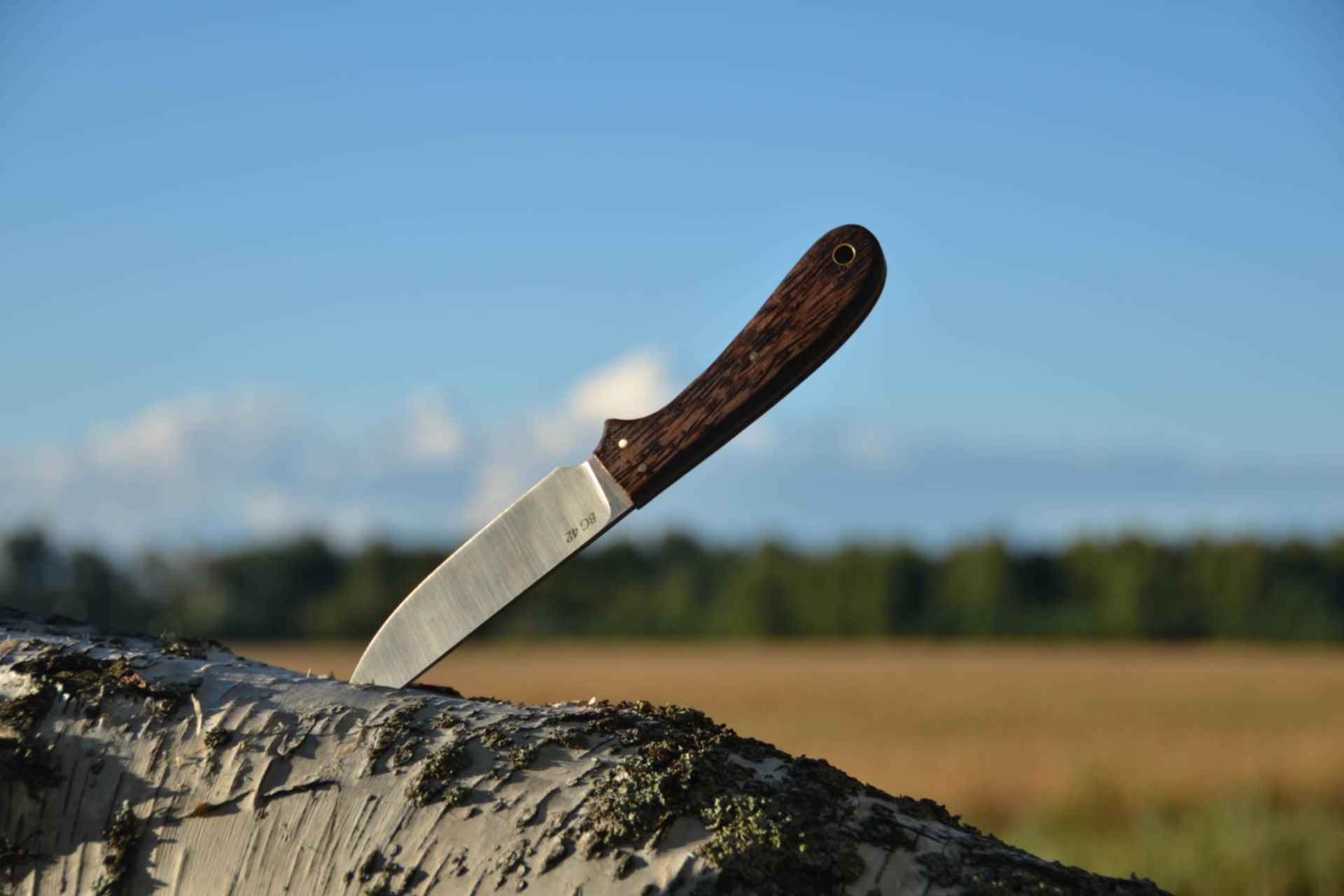 Нож для похода в лес. Доска разделочная berghoff leo. Нож в лесу. Использование ножа. Нож накири samura damascus.