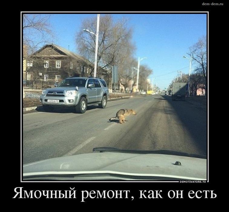 Приколы про дороги в картинках