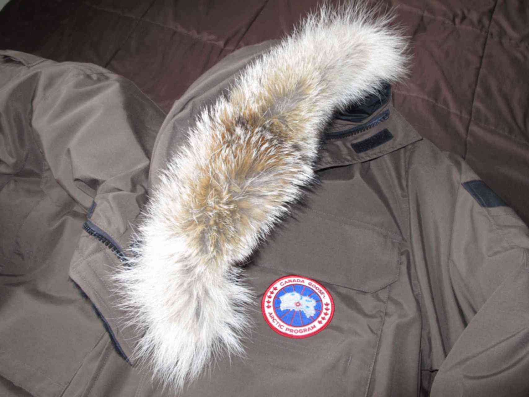 Опушка пуховика. Canada Goose меховая опушка Goose. Мех енота Canada Goose. Канада Гус мех на капюшоне. Опушка Баск койот.