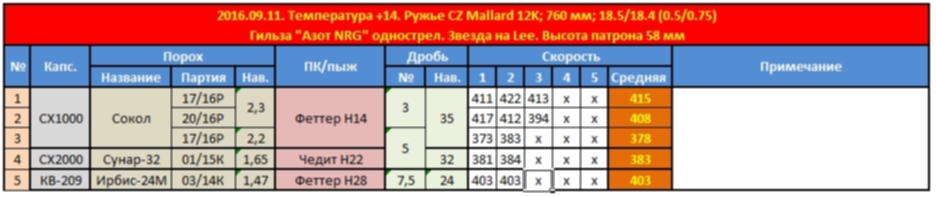 Сокол в 12 калибре