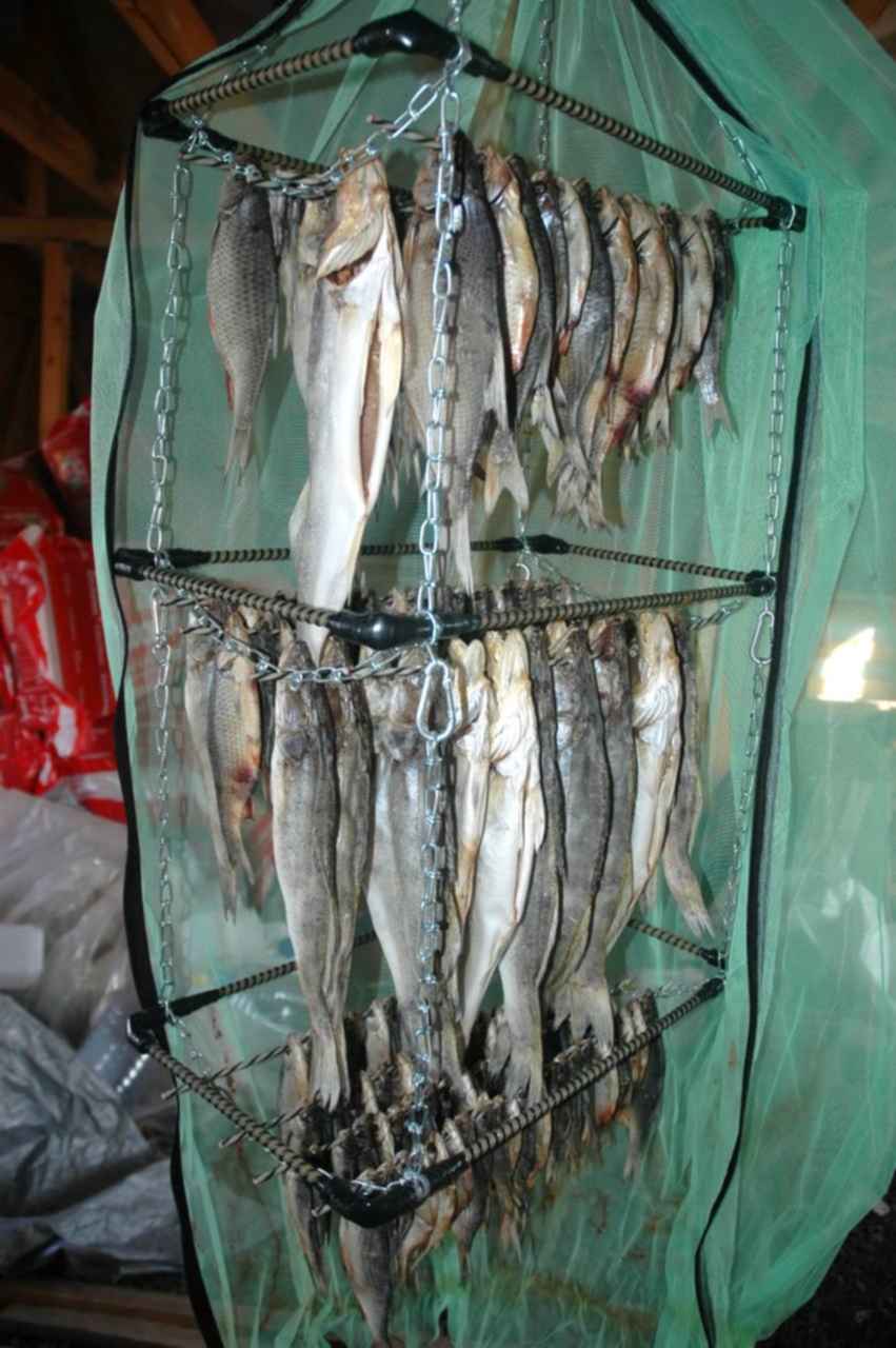 Вяленая рыба в сушилке