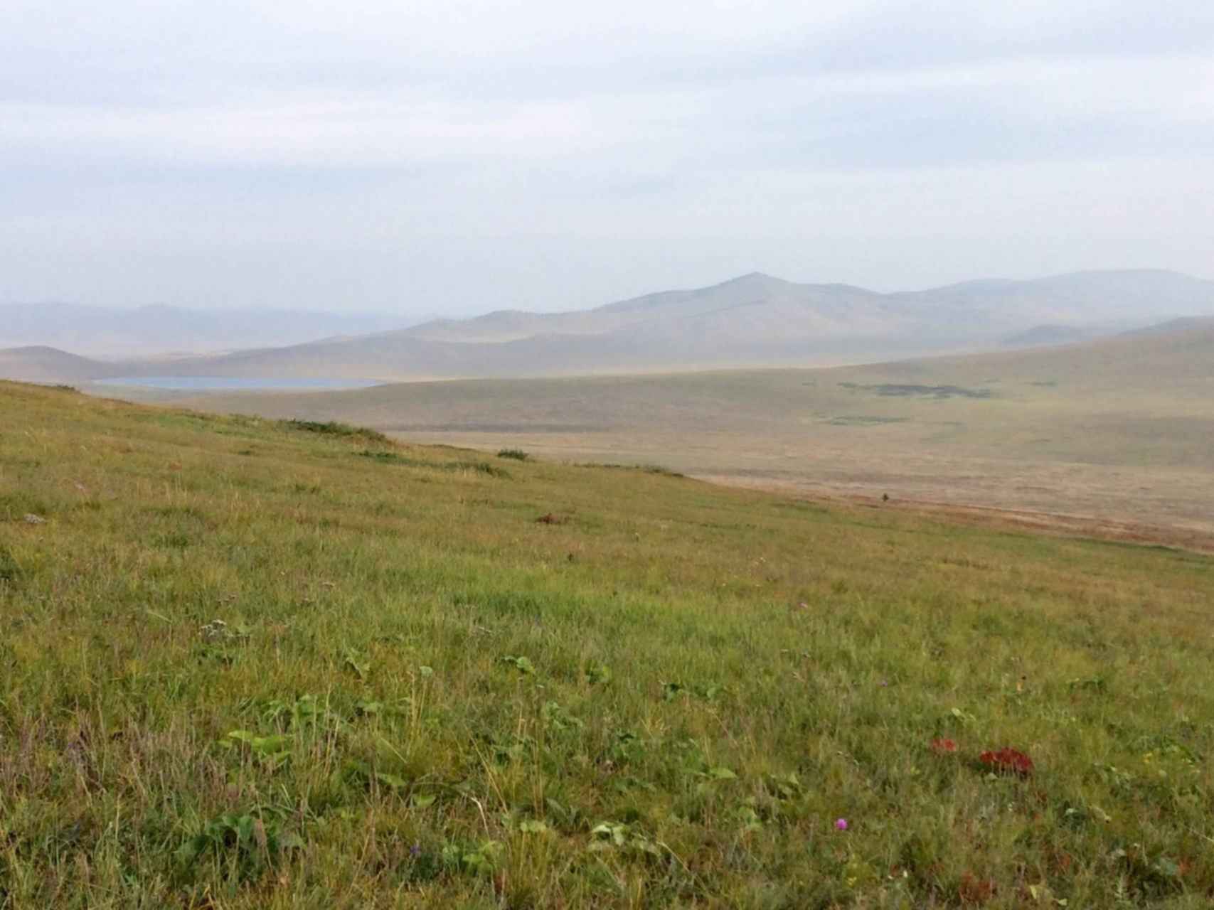 Степной дворец. Степи Бурятии. Бурятские степи в Забайкалье. Боргойская степь Бурятия. Природа Бурятии степь.