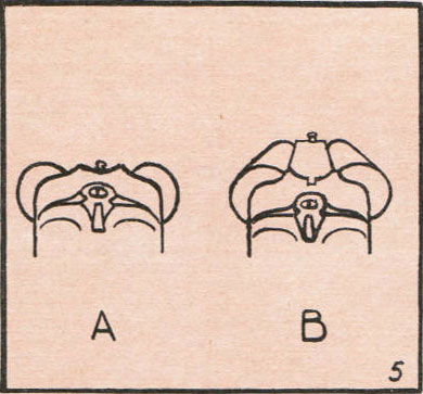 Как правильно целиться из гладкоствольного. Как правильно целиться из гладкоствольного. Правильное прицеливание из охотничьего ружья. Прицеливание в охотничьем ружье. Прицеливание из гладкоствольного ружья.