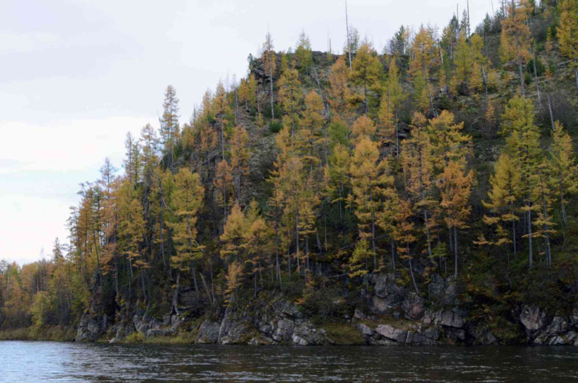 якутск осенью. южная якутия. якутия август. юг якутии. природа якутии нерюнгри.