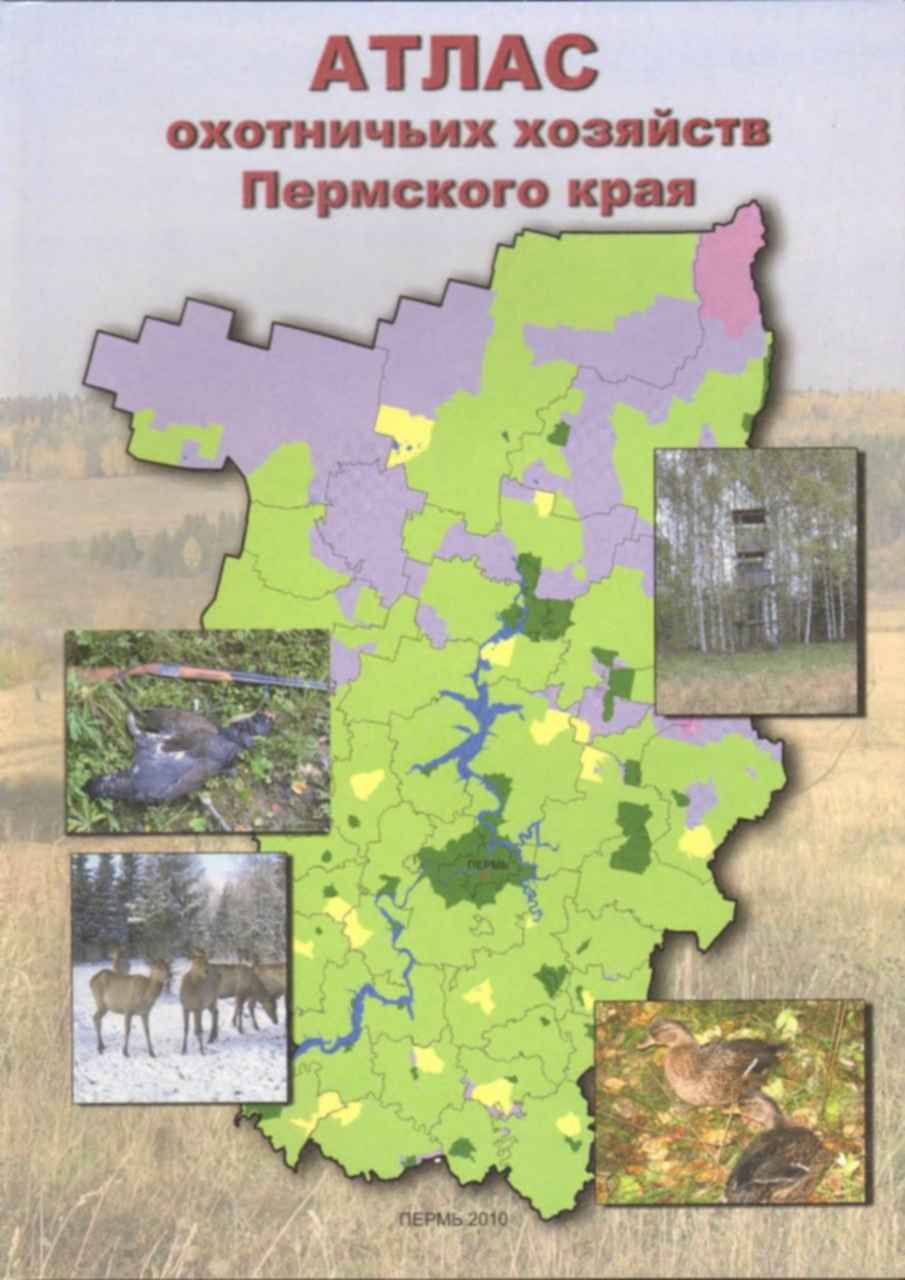 Общедоступные охотничьи угодья пермского края. Карта охот угодья пермского края. Вайское лесничество пермский край на карте. Карта охотничьих угодий пермского края. Охотугодья пермского края карта.