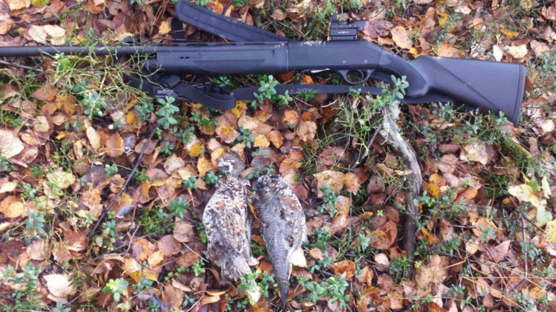 Охота с хатсан 125. Охота с хатсан 125. Воздушка хатсан 125 для охоты. Охота с воздушкой хатсан 125. Хатсан 125 охота на ворон.