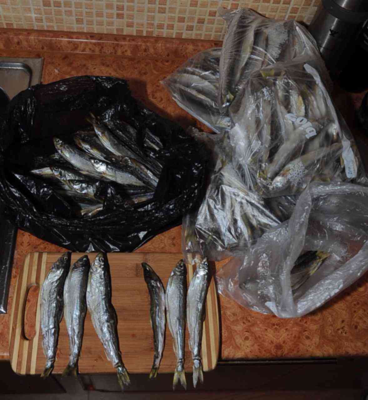 рыба в пакете. рыба в полиэтиленовом пакете. рыбка в пакетике. золотая рыбка мультяшная в пакете.