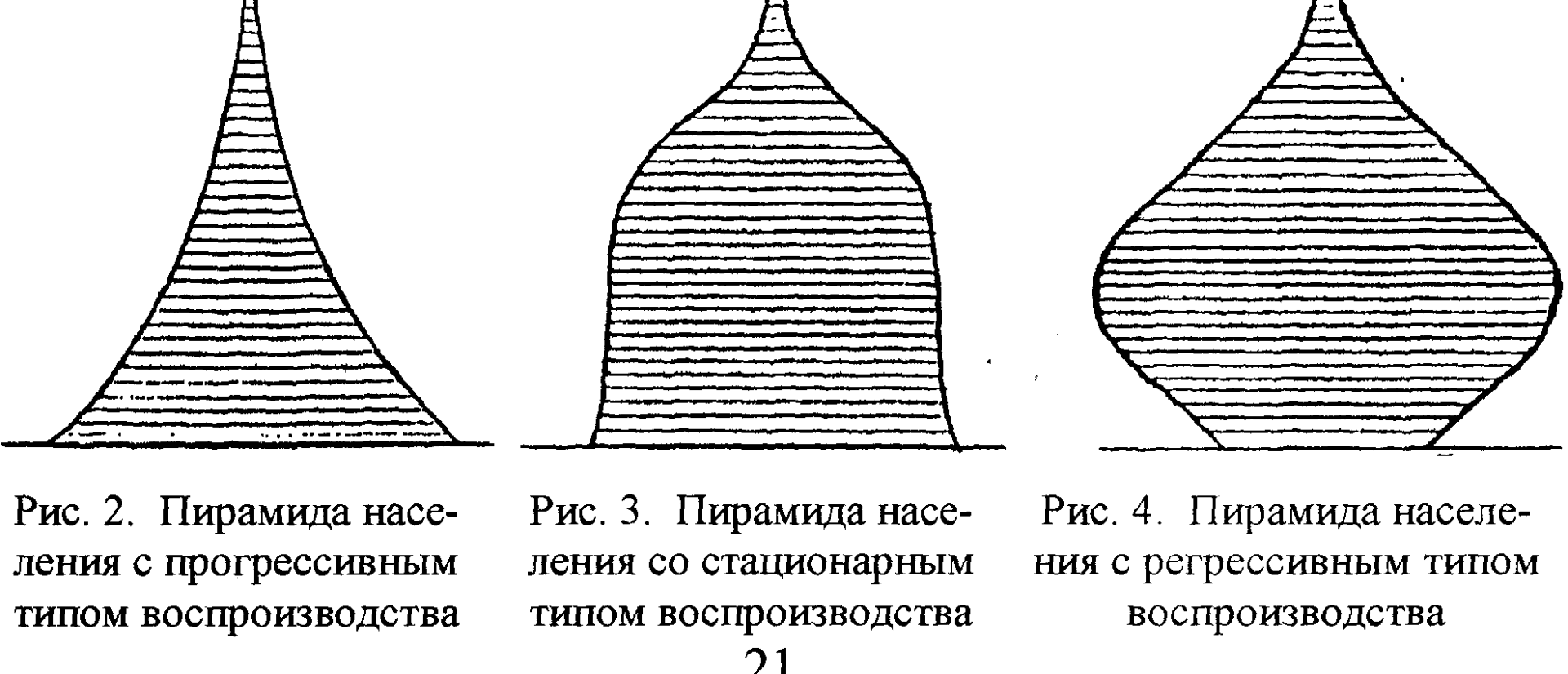 Графическое изображение распределения населения какой либо территории по полу и возрасту называется