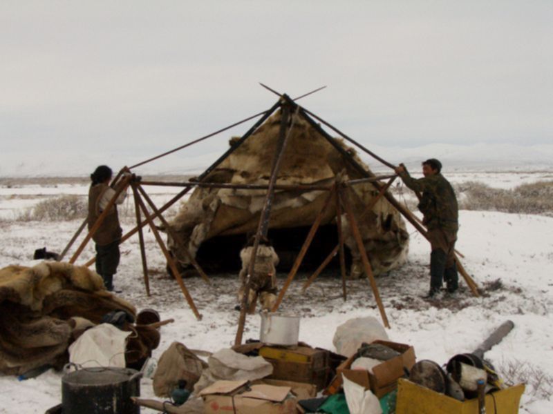 Яранга чукотка. Жилище коряков яранга. Жилище коряков яранга. Эвены яранга. Яранга коряков.