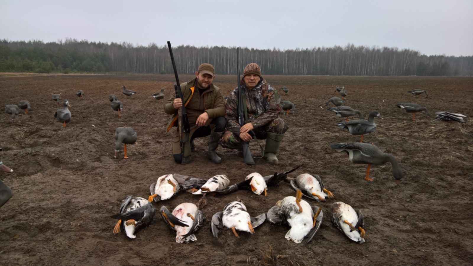 охота на уток в белоруссии фото