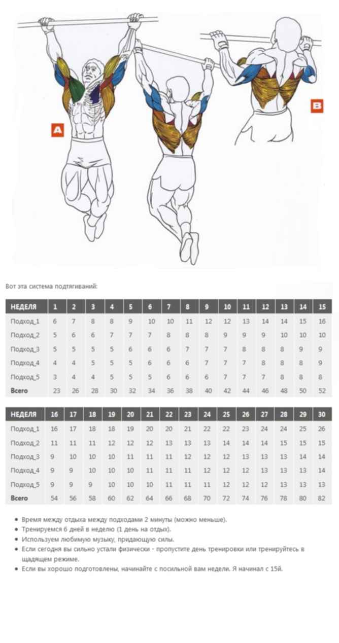 Как научиться подтягиваться в зале