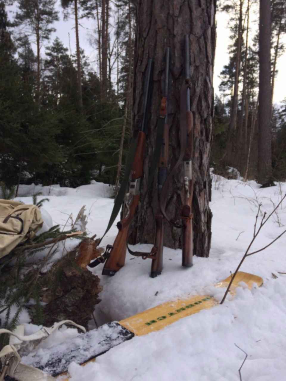 Прохождение охотничьих угодий. Прохождение охотничьих угодий. Horizon zero dawn карта. Охотничьи угодья. Карта охотничьих угодий horizon zero.