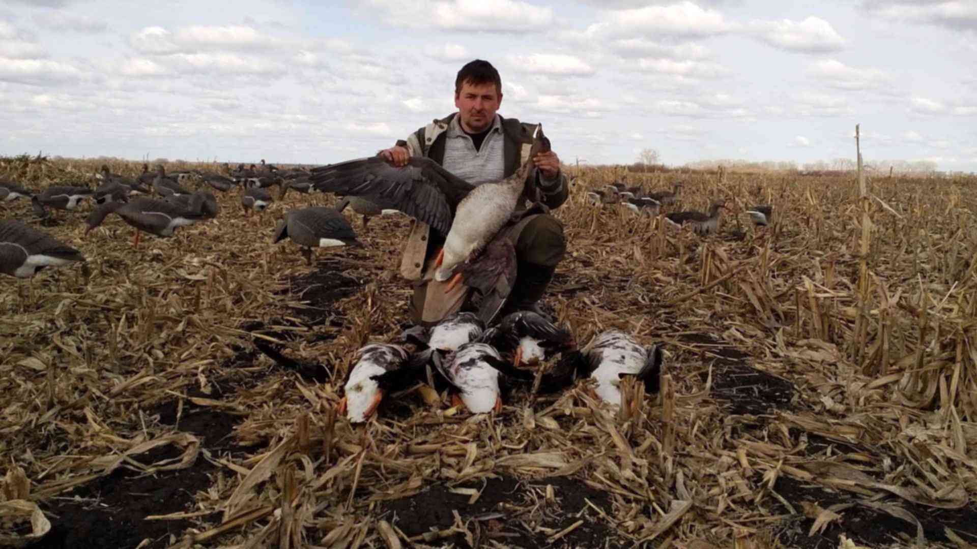 Правила охоты осенью. Охота 2017. Осенняя охота на утку Челябинская область. Человек похожий на гуся.