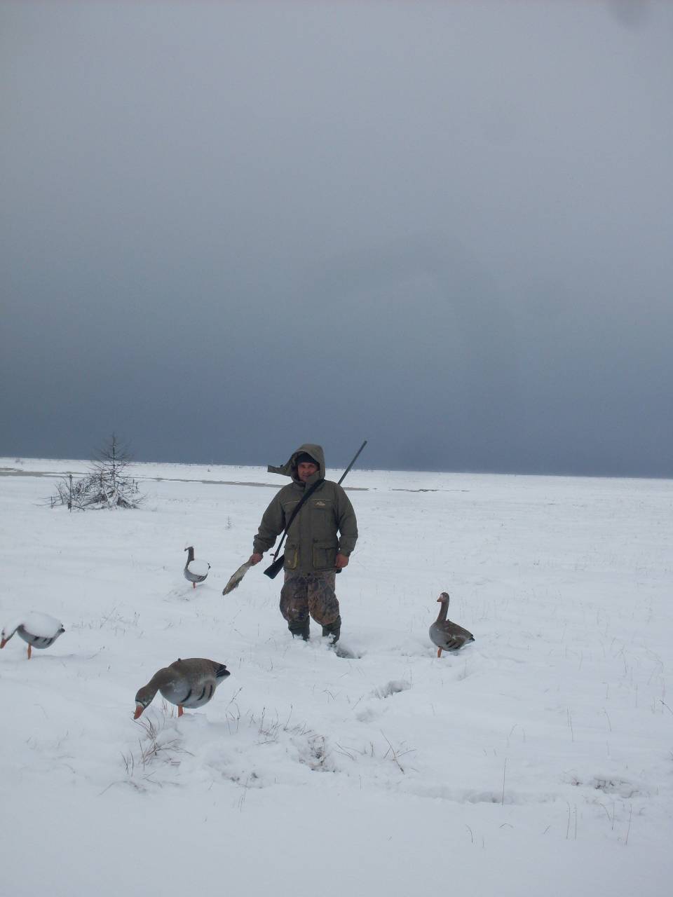 Охота и рыбалка на севере видео. Охота на гусей на Дальнем востоке.
