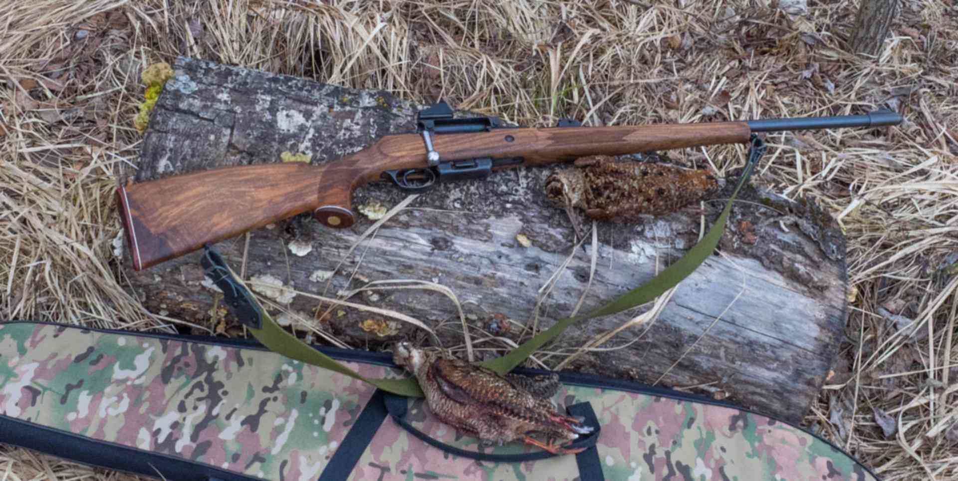 Охотничье ружье иж, тоз. Мц для охоты. Мц 20 в 12 калибре. Мц для охоты. Мт 125 карабин.