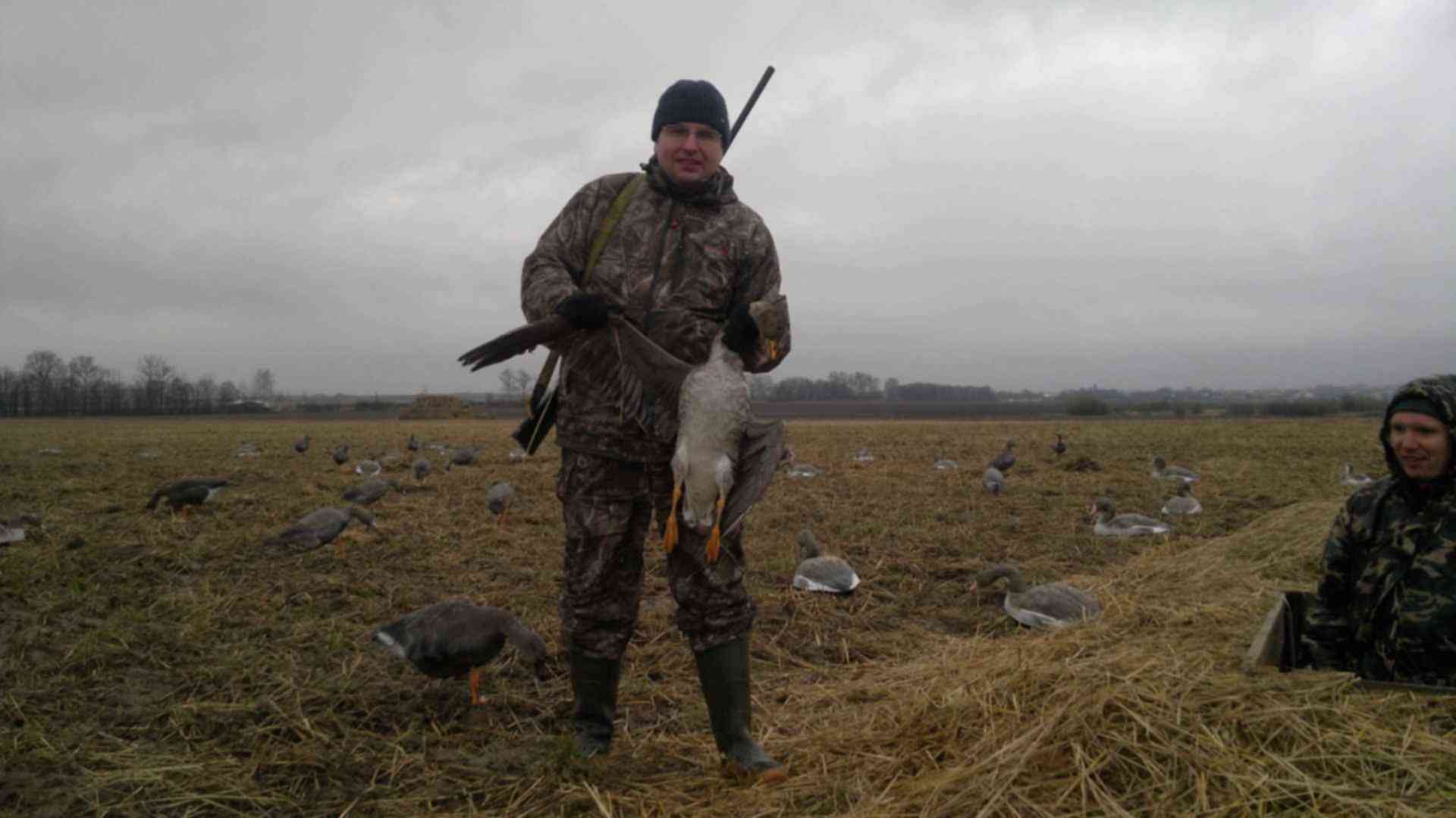 охота на утку весной 2024