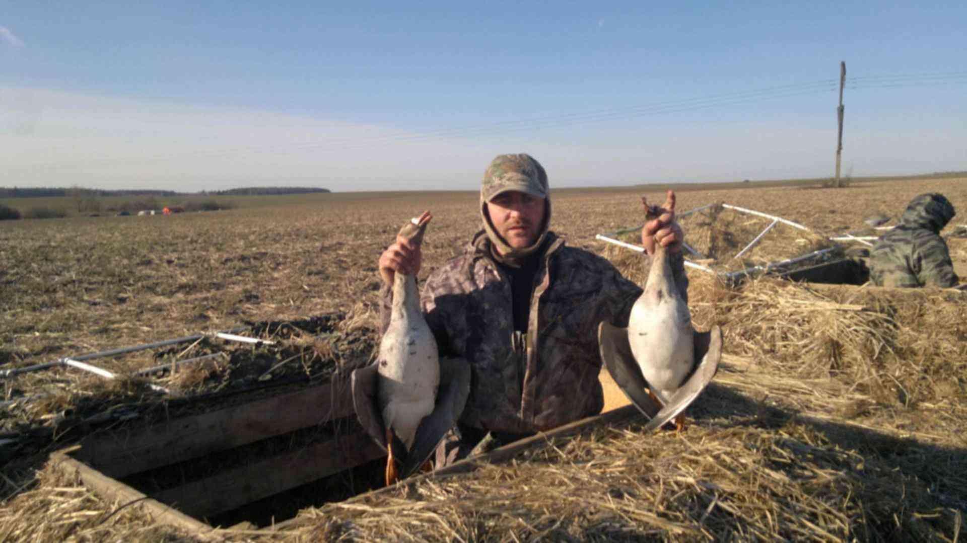 охота с подсадной весной.