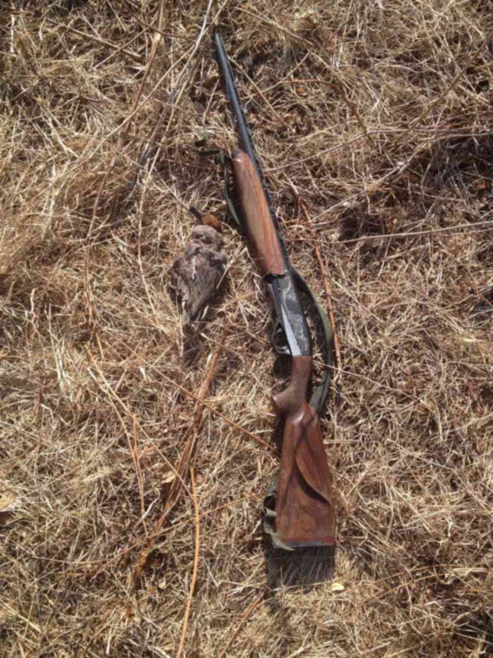 Ружье байкал мр 155. Пятизарядка мр 155. Мр-155 12 76. Ружье полуавтомат мр 155. Охотничьё ружьё мр-155.