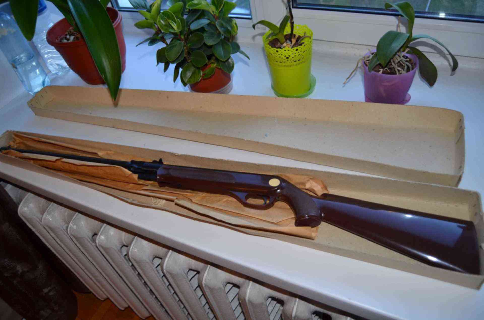 Иж 22 Купить