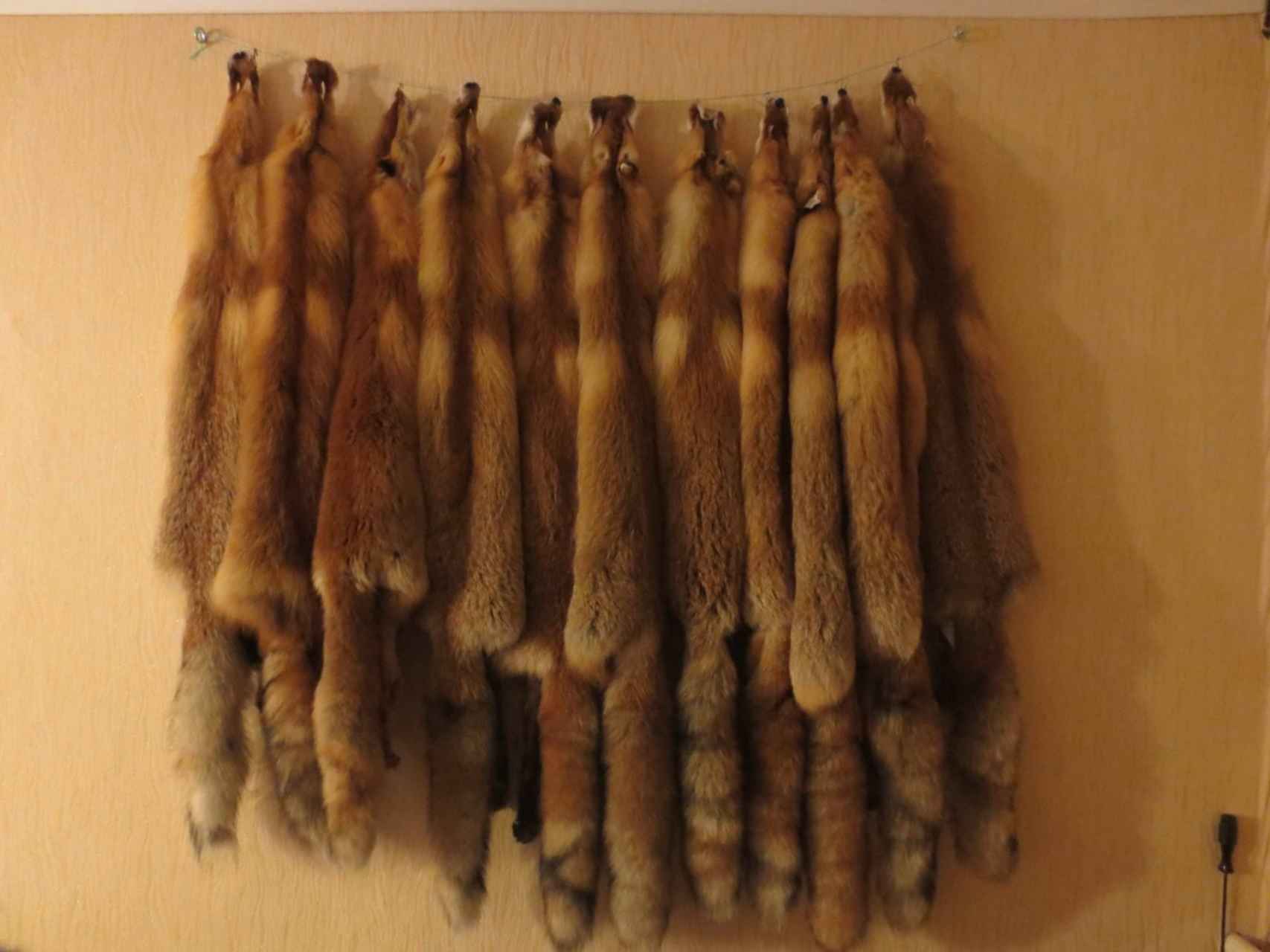 Купить Мех В Перми На Авито Бу