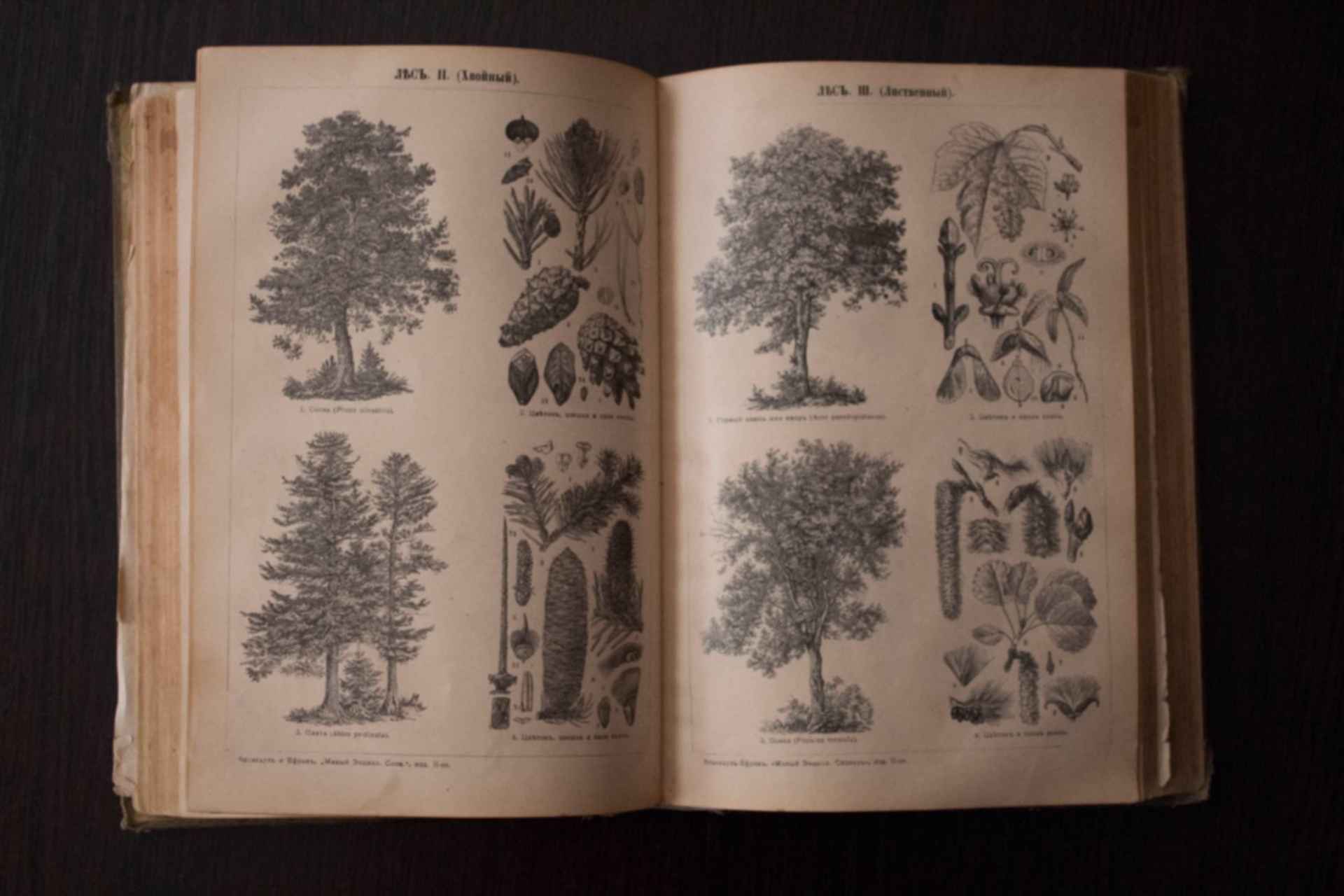 Том 2 том г. Энциклопедический словарь 1907 года. Энциклопедия 1907. Сколько стоит энциклопедия 1907 года. Малая энциклопедический словарь 1907 г. про каус евро сина Крейг.