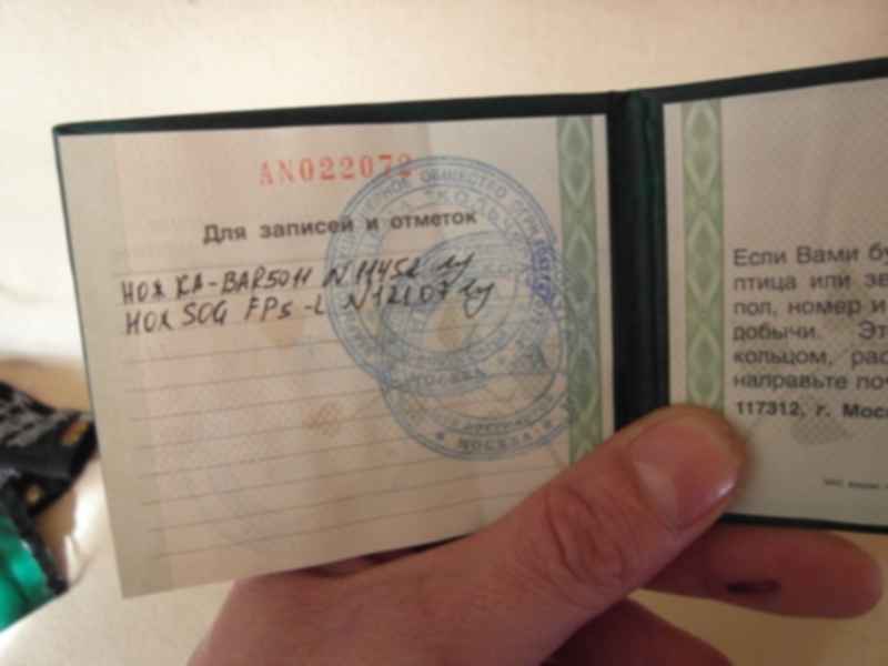 Ли роха. Охотбилет старого образца.