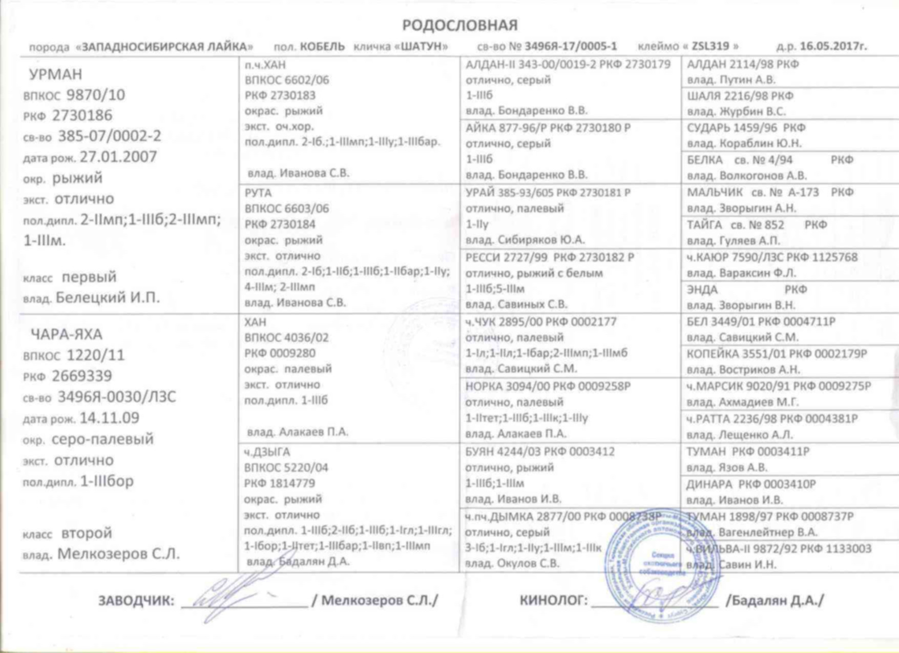 Родословная щенка. Родословная немецкой овчарки РКФ. Доберман родословная РКФ. Как выглядит родословная на собаку. Родословная породистой собаки.