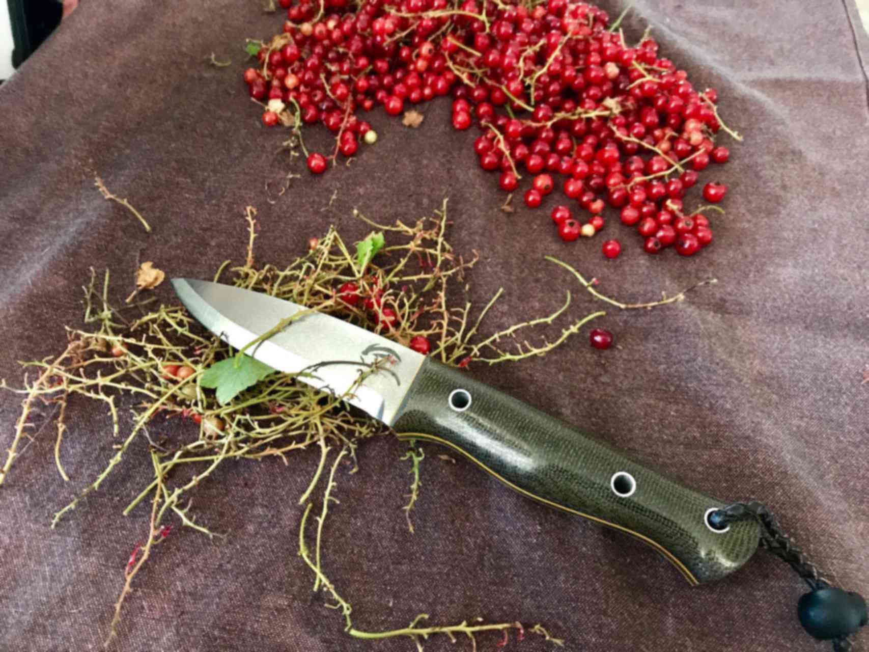 Нож дождь. СИНЕРГИЯ нож для бушкрафта-Александр бушкрафт. Rooc trendy Cutlery Harvest loga.