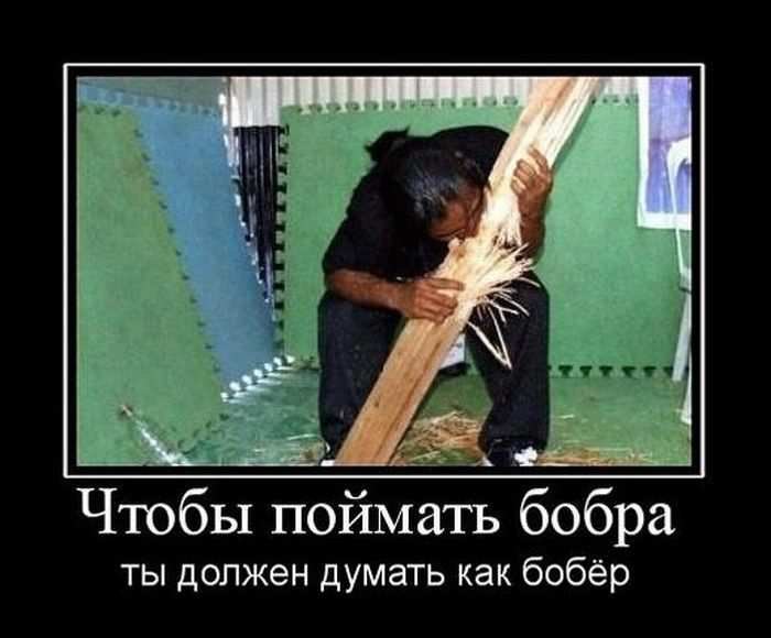 Not only poke. Комикс кельвин бегает. To catch up with. Катчер бейсбол. Неловкие моменты.