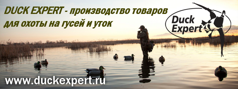 Duck expert