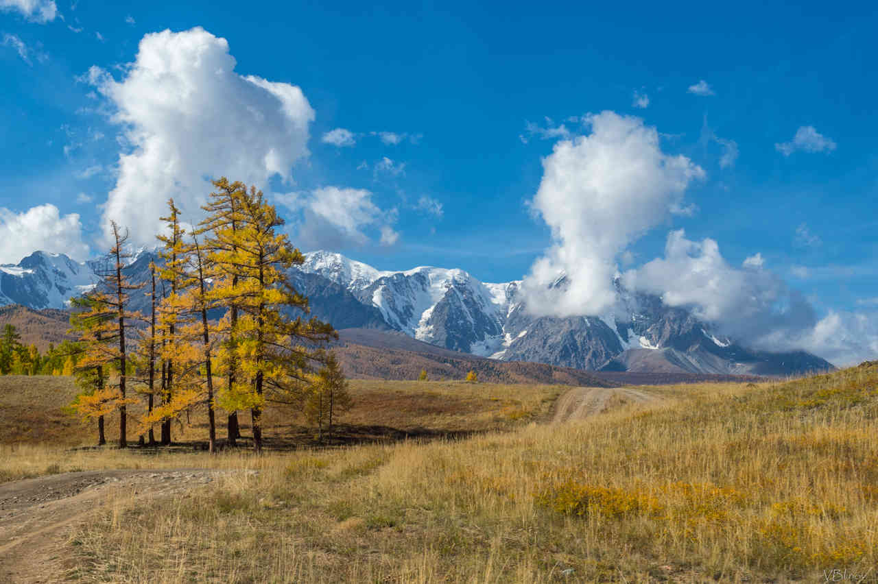 Горный Барнаул