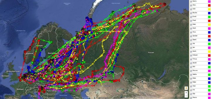 Карта перелета гусей весной по россии