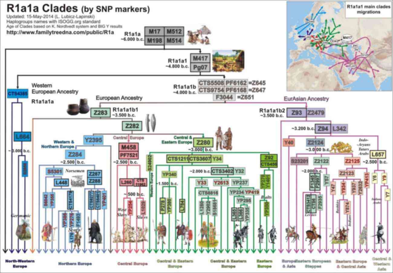 Гаплогруппа r1a. R1a-cts3402. Карта миграции гаплогруппы r1a. Распространение гаплогруппы r1a1. Славянский ген r1a1 карта.