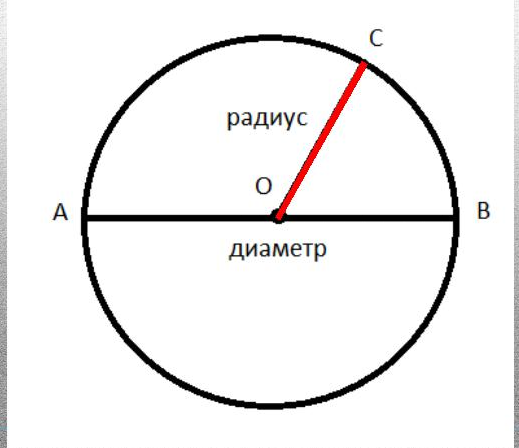 Обхват в диаметре. Радиус и диаметр. Радиус и диаметр окружности. Радиус радиус диаметр. Диаметр и радиус круга.