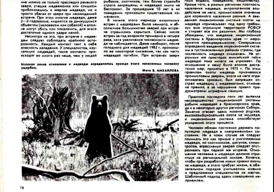 Ничего не охота. ТБ при встрече с медведем. Охота на медведя не запрещена. Охотник и медведь наоборот.