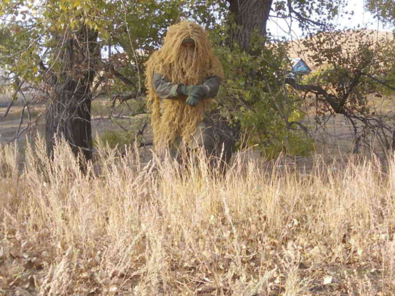 Кикимора В Реальной Жизни Фото