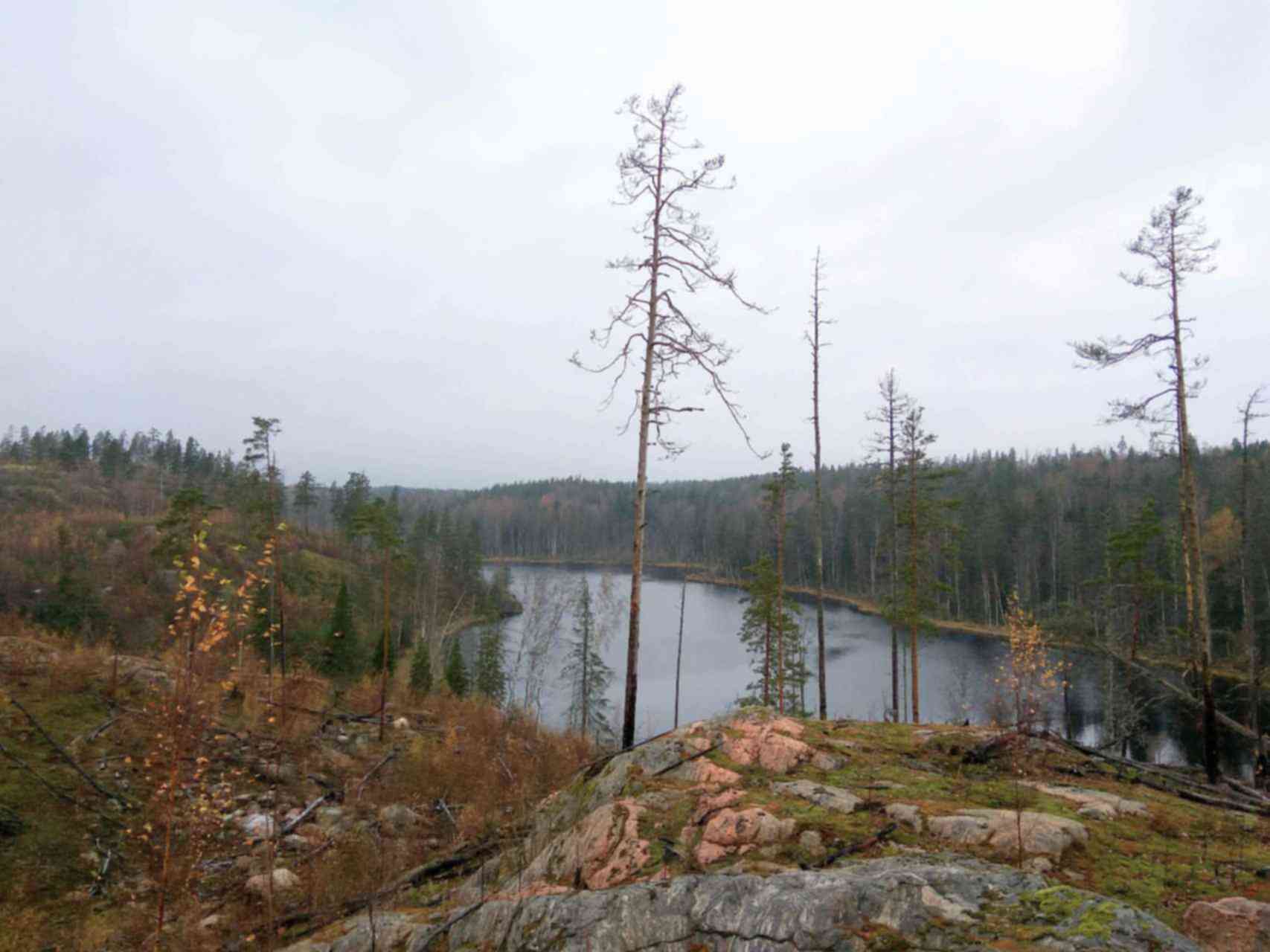 Каменногорск. Карелия Каменногорск. Озера в Каменногорске. Озеро Дозорное в Каменногорске. Озеро вечернее Каменногорск.