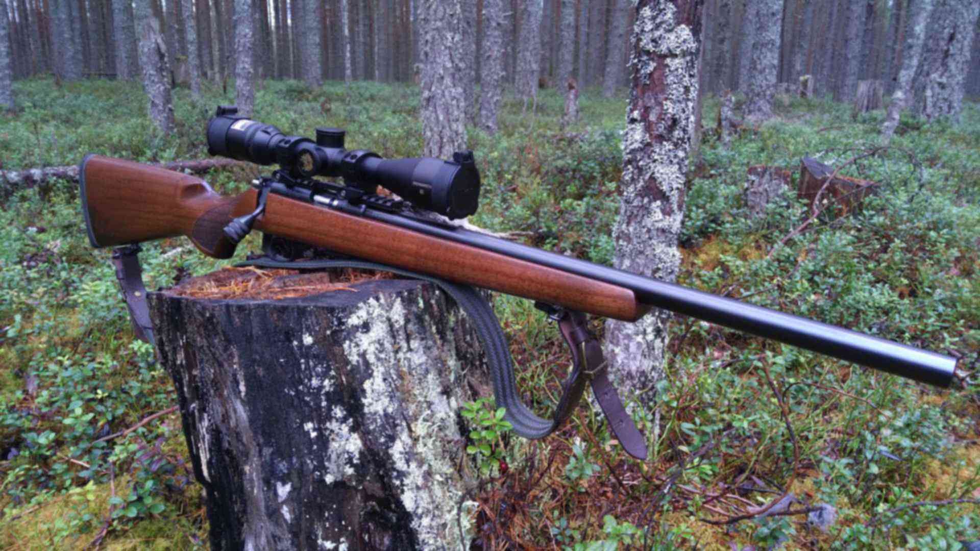 Мелкашка для охоты. Cz 455 Varmint Калибр 22 LR. Cz Varmint 22lr. Cz 455 Varmint 22lr. Cz 455 Калибр.