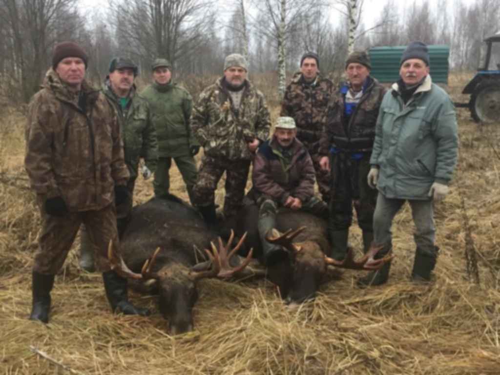 Охотничье хозяйство. Охотничье хозяйство Руднянский охотник. Смоленск охота охотхозяйство. Охотхозяйство охотник Смоленск. Охотхозяйство в Смоленской области.