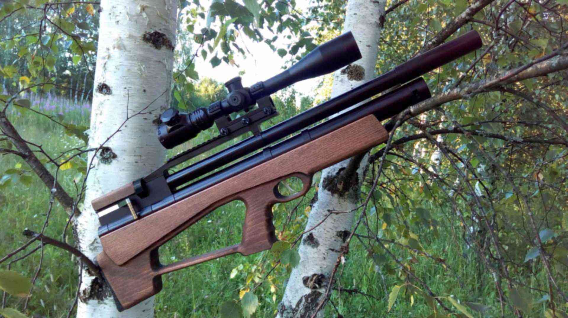35 буллпап магнум. Лесник дубрава карабин 7. 35. Дубрава 6 5. Пневматическая винтовка дубрава.