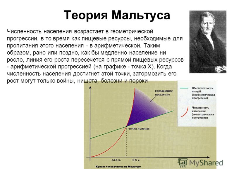 Теория реализации