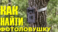 Как обнаружить фотоловушку. Фотоловушки в лесах. Обнаружитель фотоловушек в лесу. Маскировка фотоловушки в лесу. Как обнаружить фотоловушку в лесу.