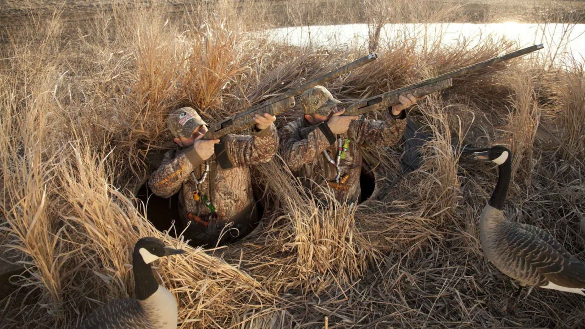 По поводу фото:если набрать в поиске duck hunting blind,можно найти много и...