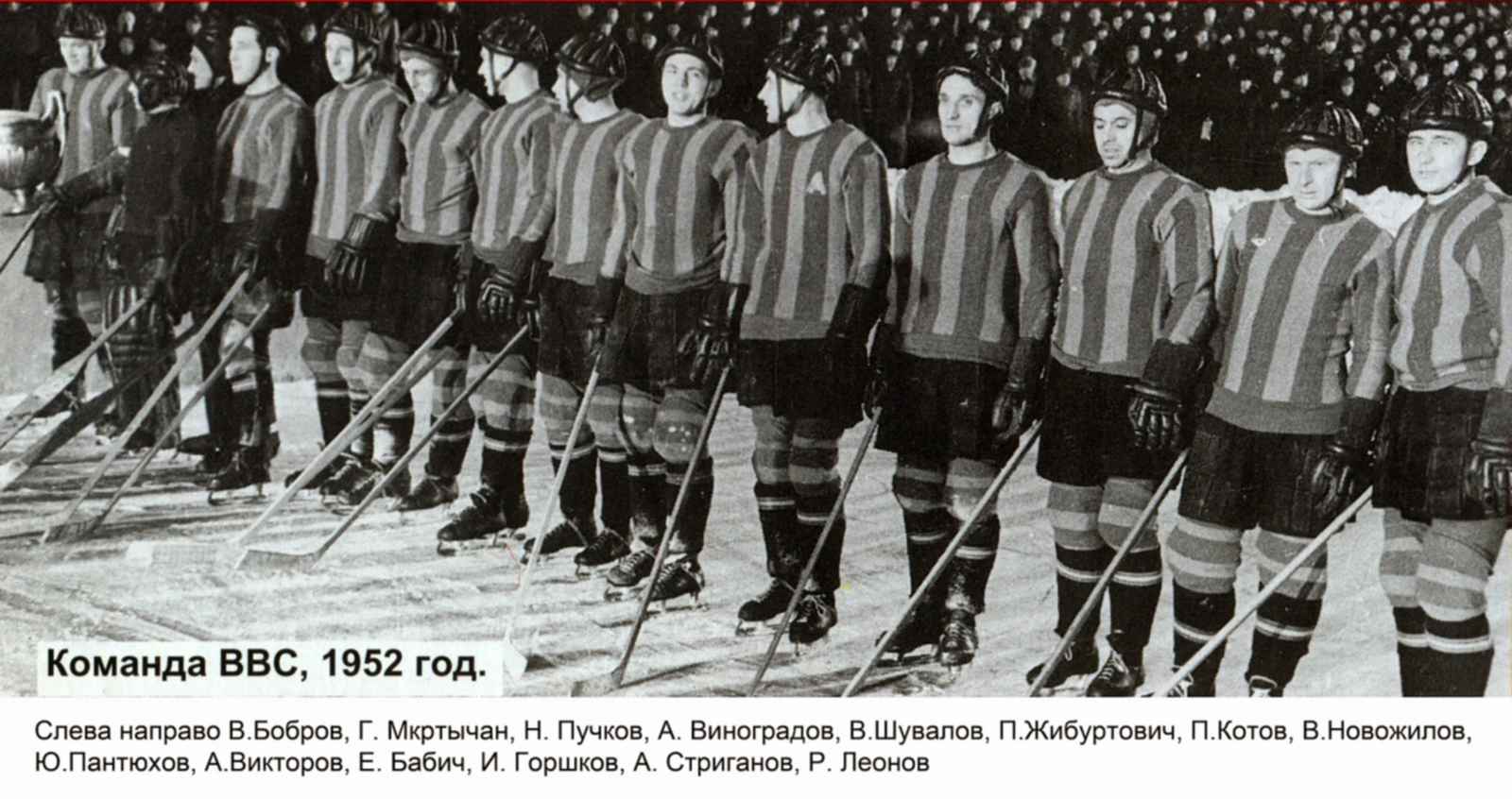 Василий иосифович сталин фото с хоккейной командой