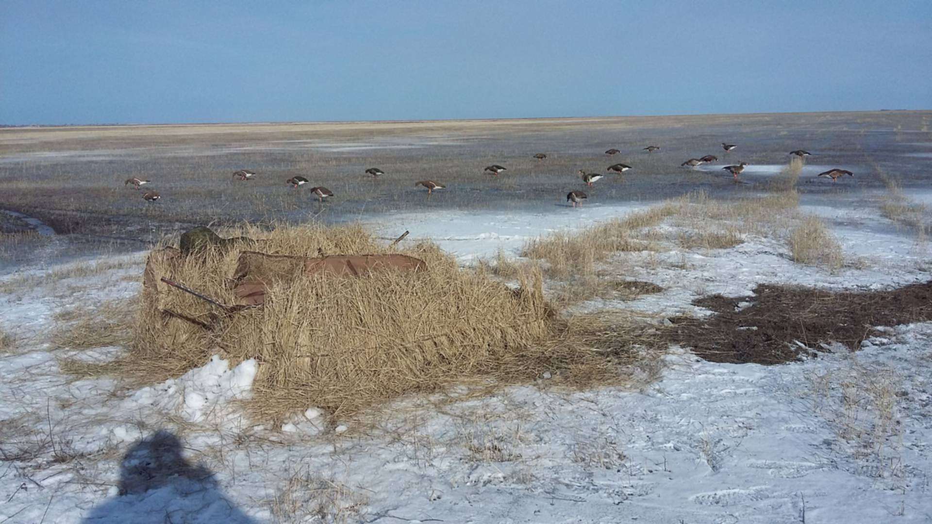 Погода в селе новоникольское быковского