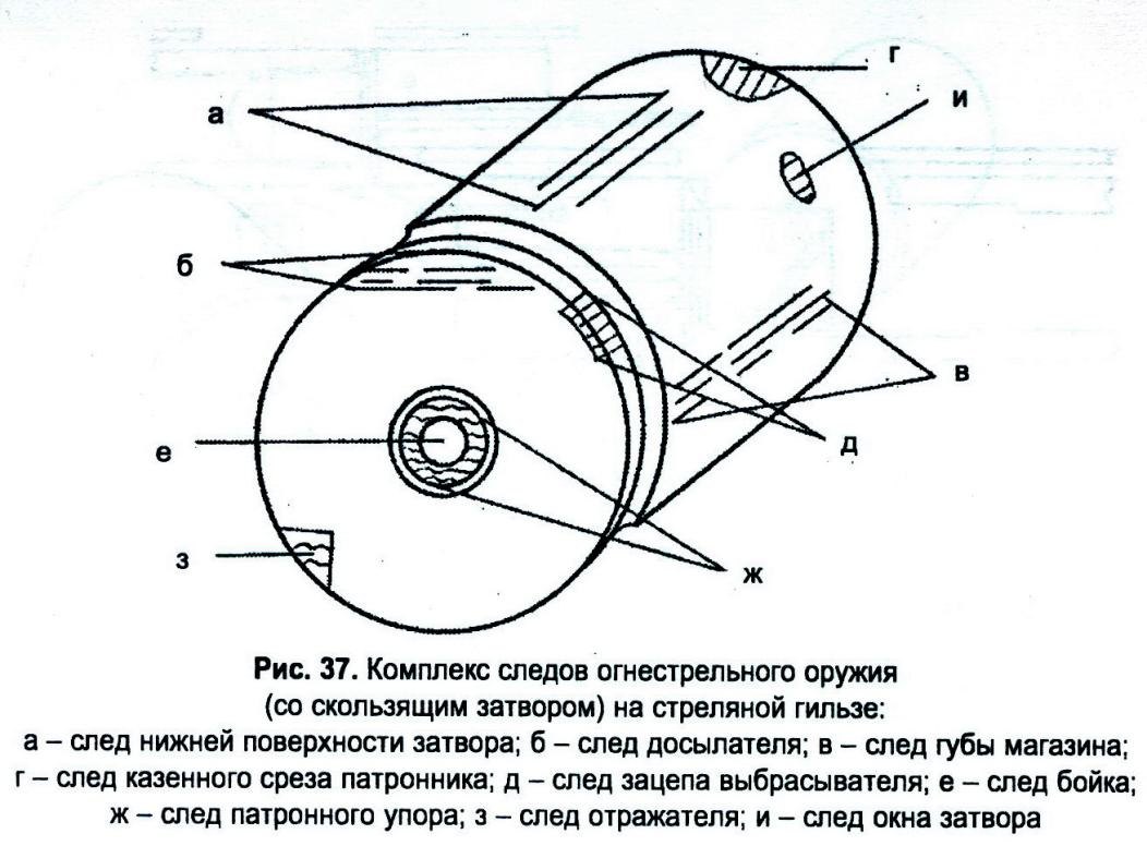 Баллистическая экспертиза гильзы образец