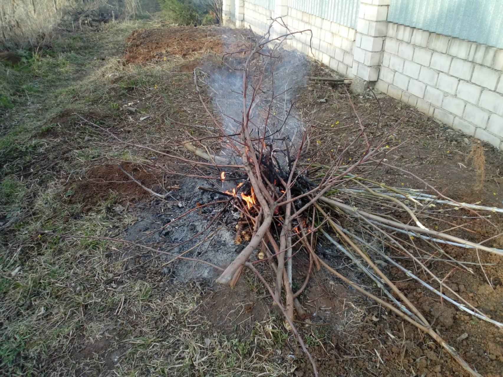 Поджигаем веточки. Топить ветками. Топить ветками. Сухие веточки. Топить ветками.