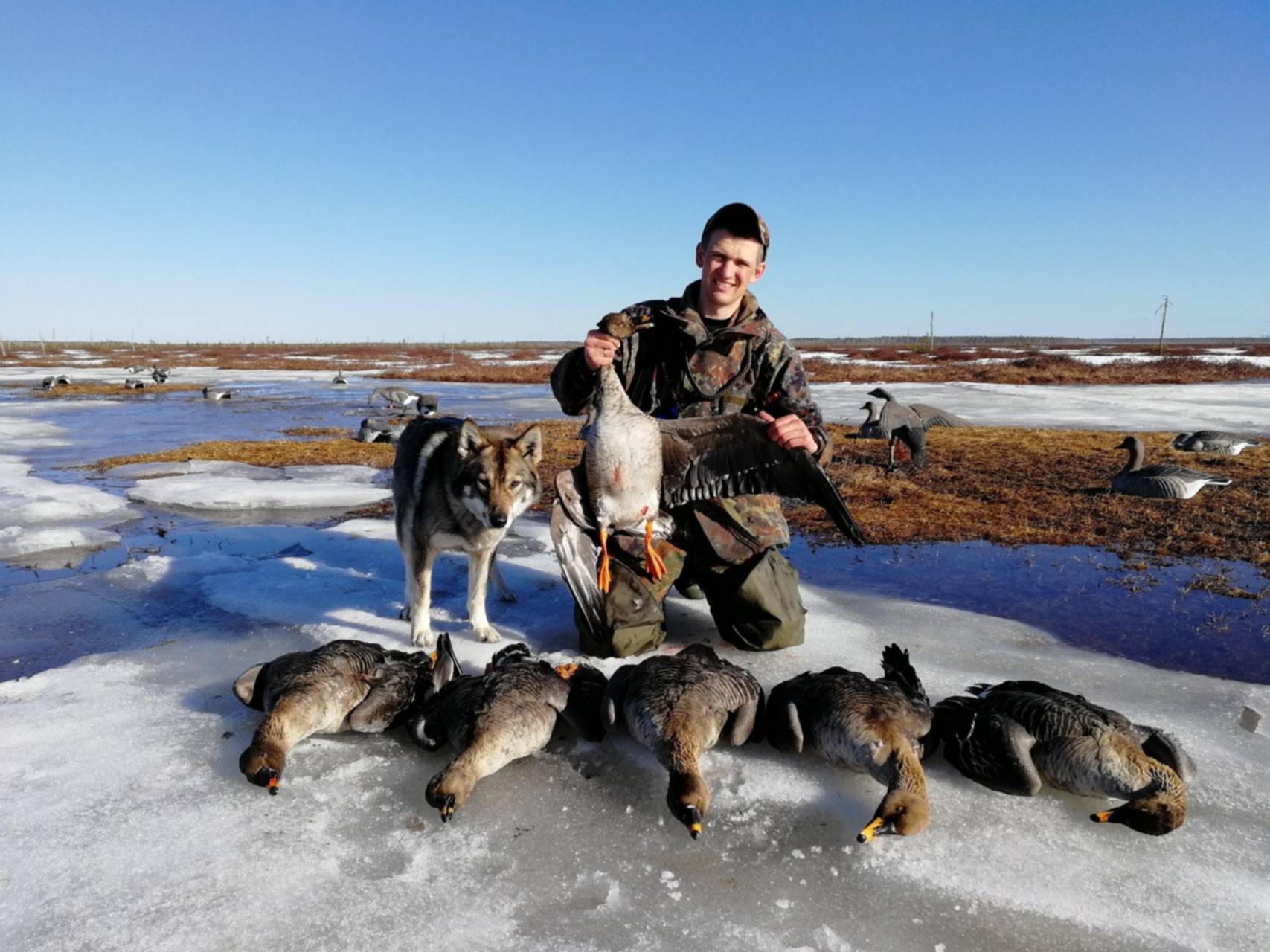 Шампура литьё мечта охотника. Шампура мечта охотника. Колчан для шампуров. Бенелли монтефельтро дука. Трехстволка.