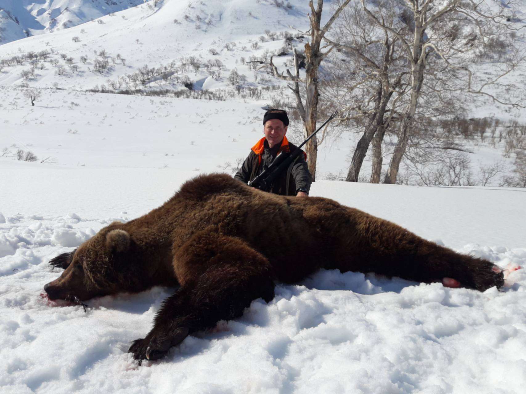 Самый крупный бурый медведь Камчатка