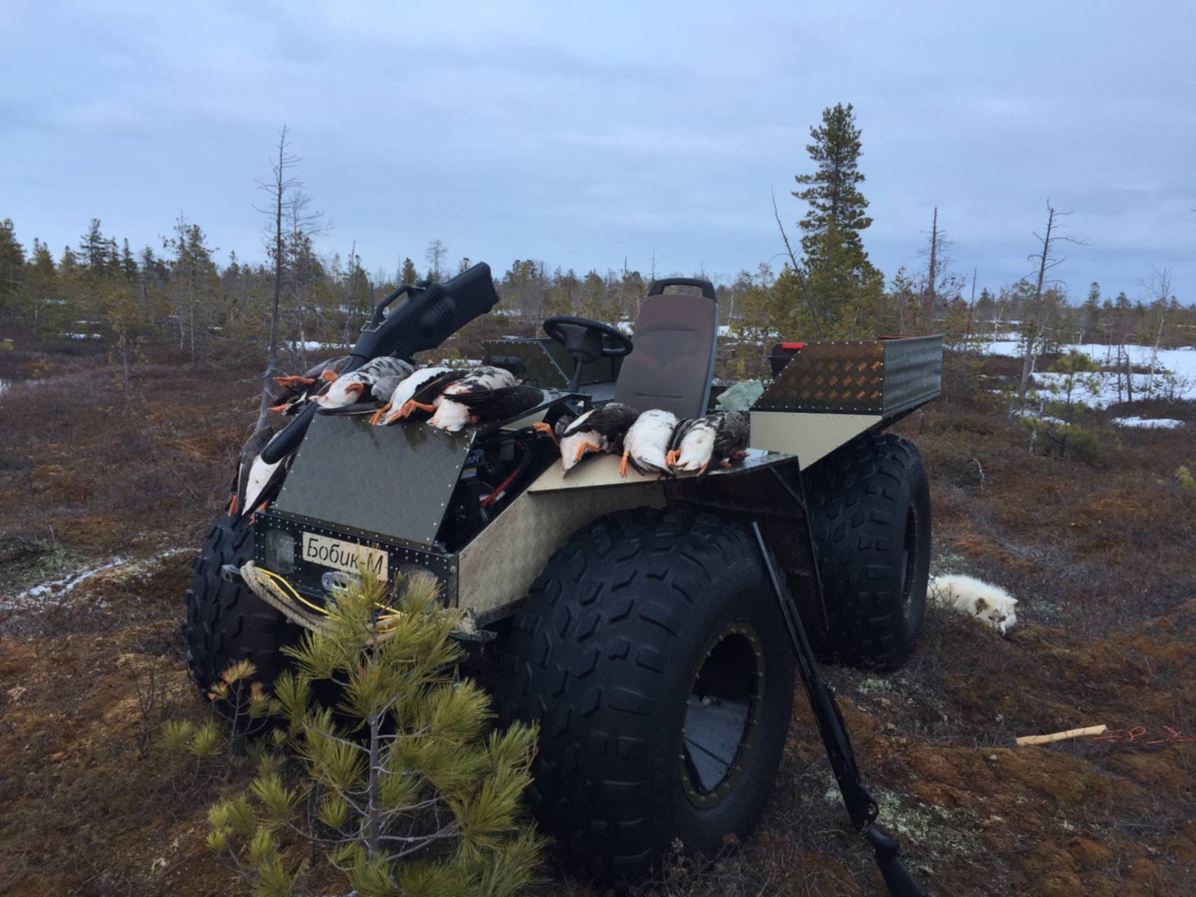 вездеход янао. вездеход вепрь вологда. беркут-8 снегоболотоходы. вездеход лесник 2022. снегоболотоход трэкол вега.